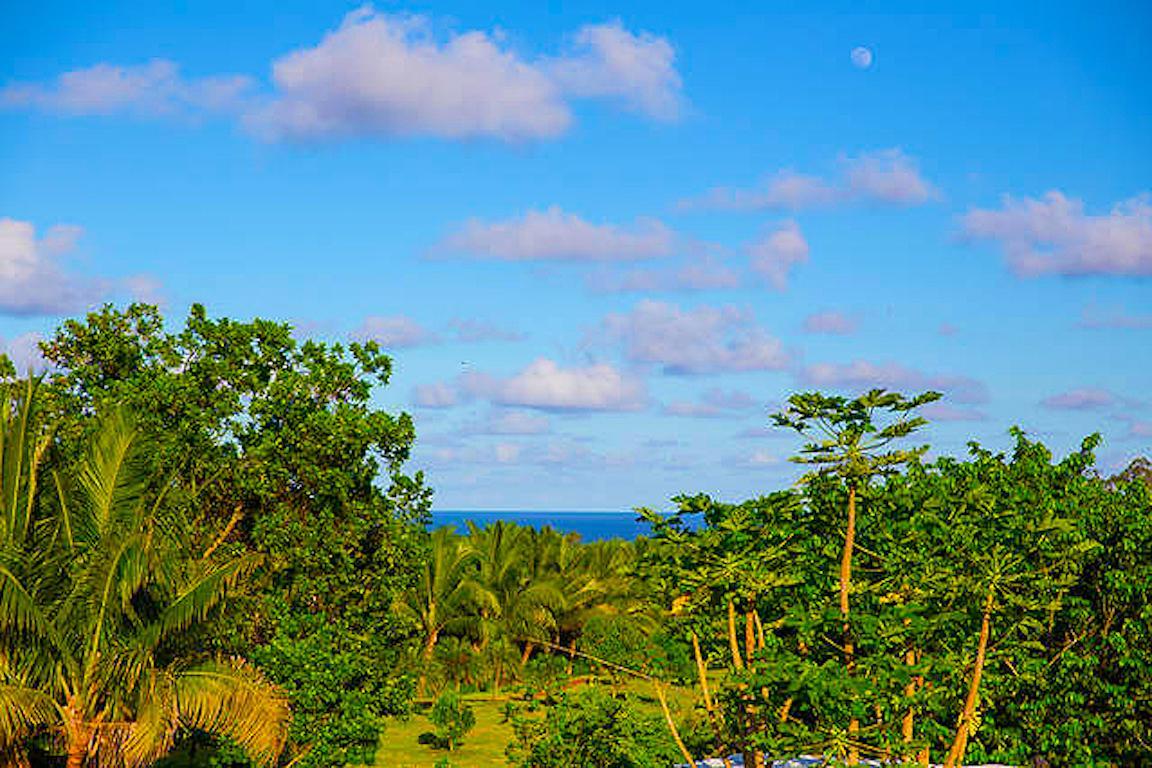 Pahoa Kirpal Meditation And Ecological Center المظهر الخارجي الصورة