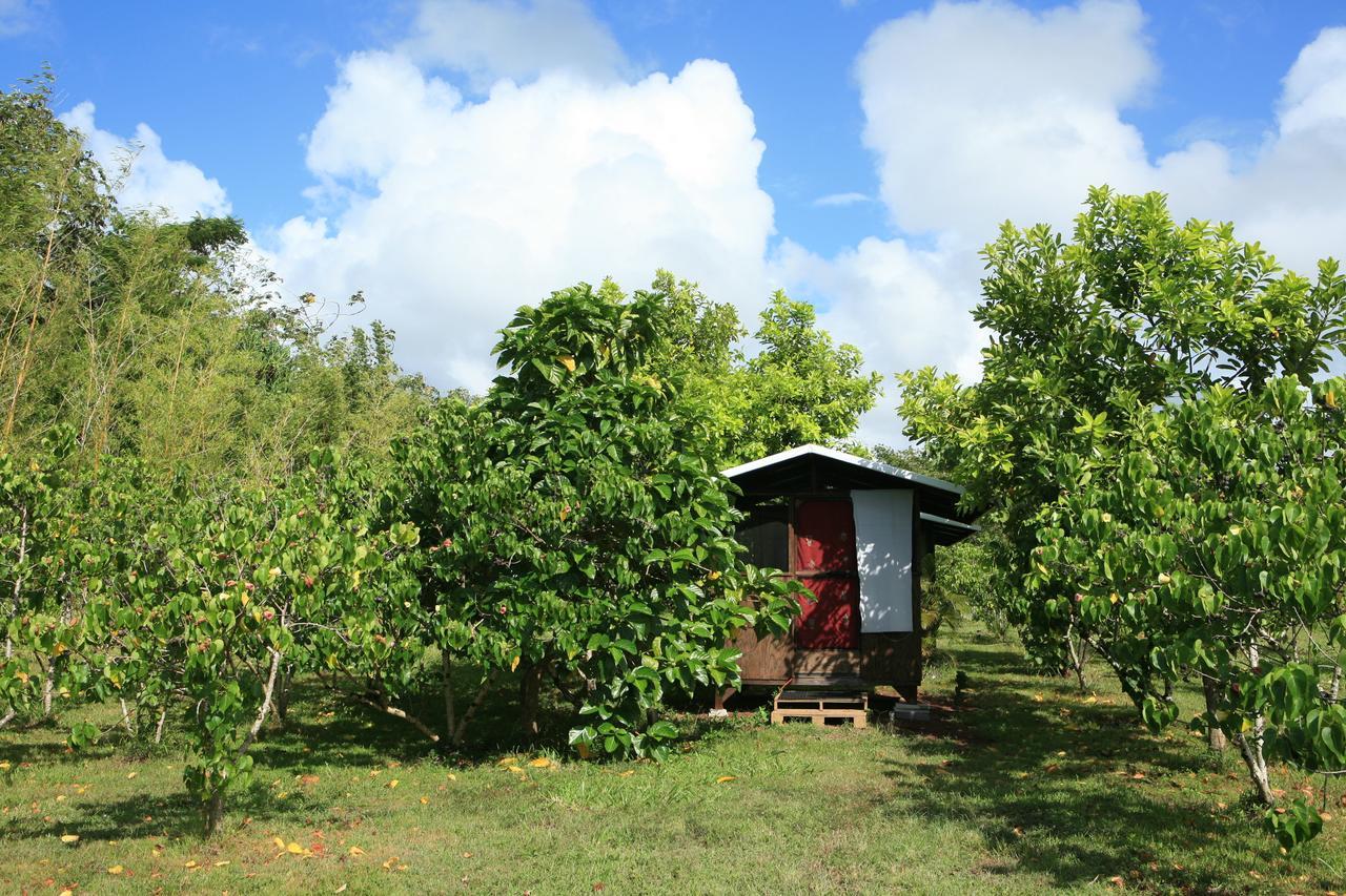 Pahoa Kirpal Meditation And Ecological Center المظهر الخارجي الصورة