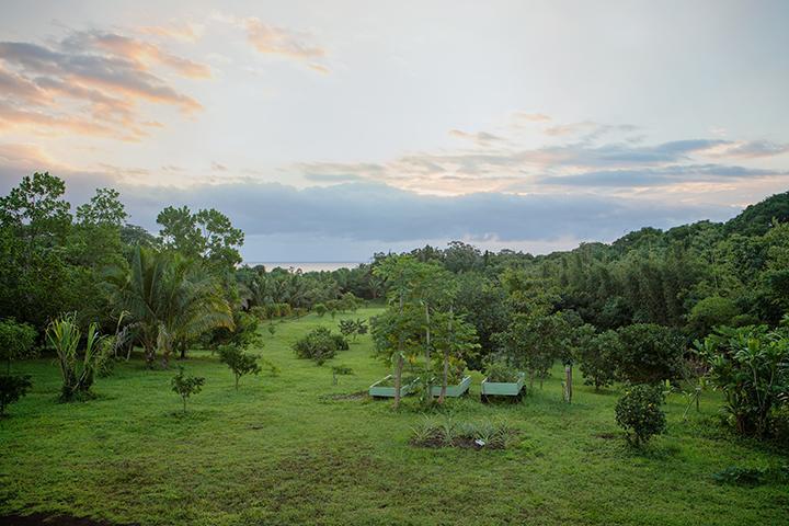 Pahoa Kirpal Meditation And Ecological Center المظهر الخارجي الصورة