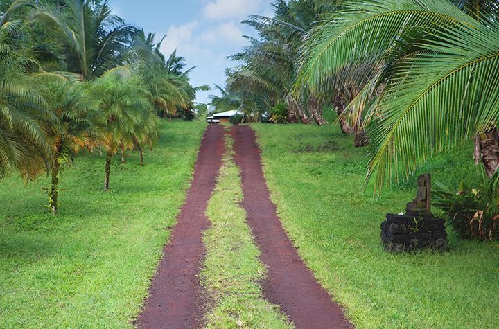 Pahoa Kirpal Meditation And Ecological Center المظهر الخارجي الصورة