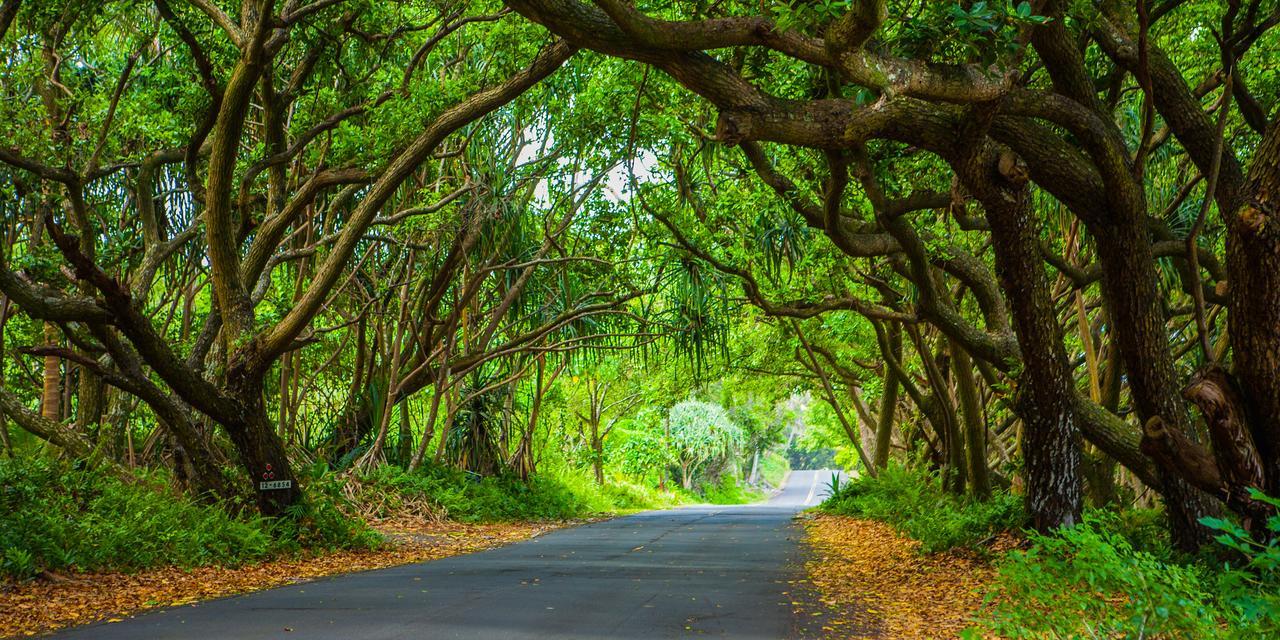 Pahoa Kirpal Meditation And Ecological Center المظهر الخارجي الصورة