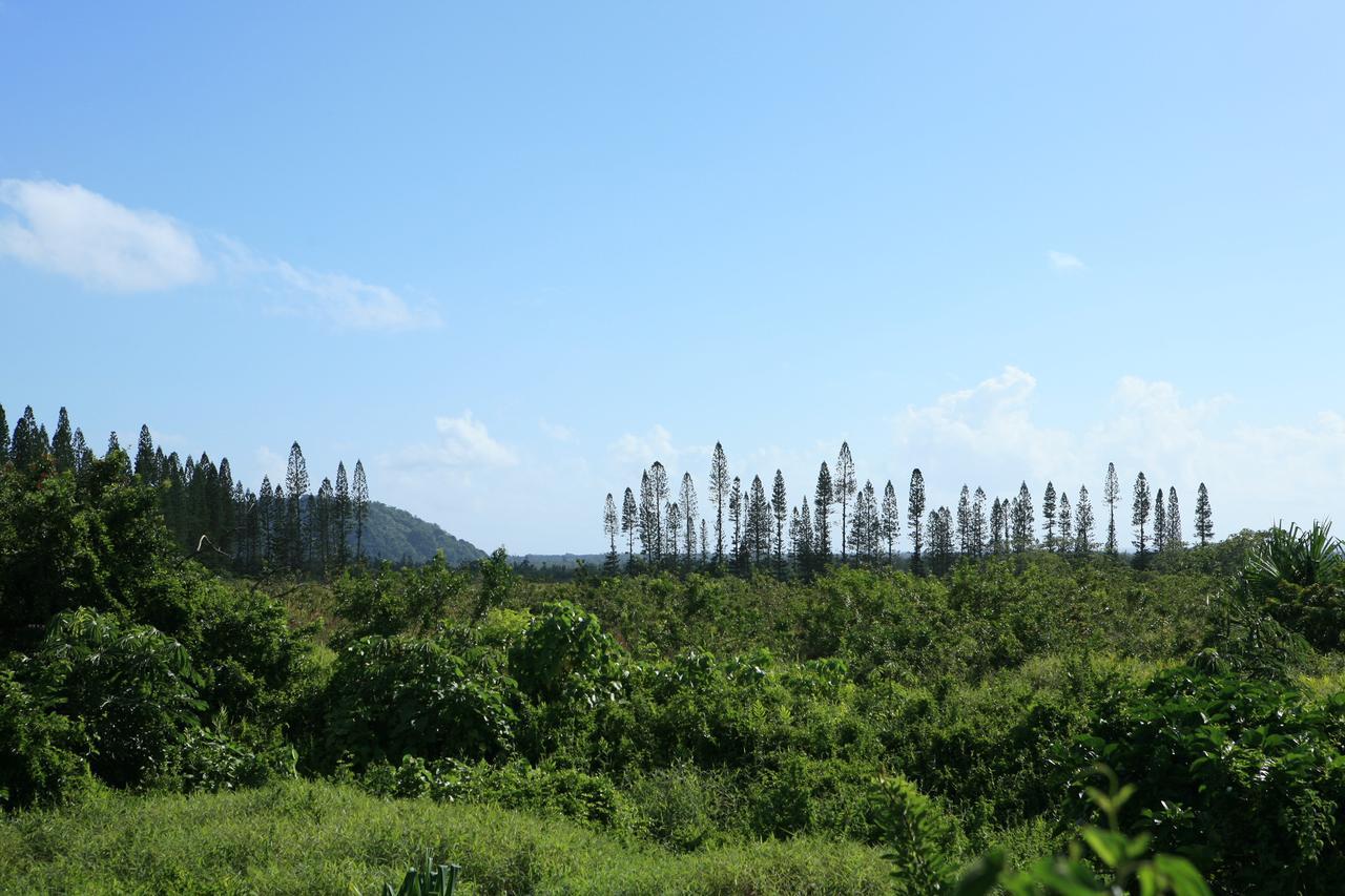 Pahoa Kirpal Meditation And Ecological Center المظهر الخارجي الصورة