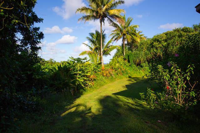 Kirpal Meditation And Ecological Center Pahoa المظهر الخارجي الصورة