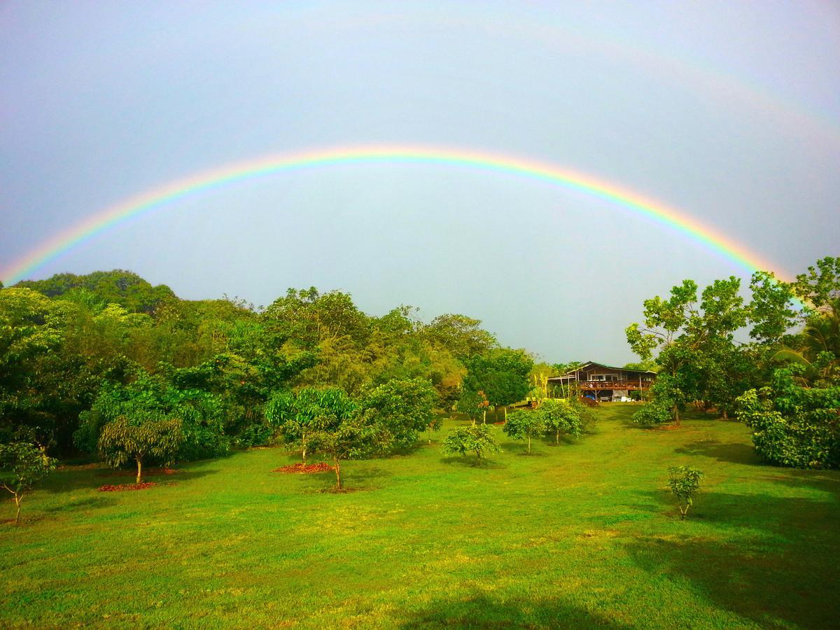 Pahoa Kirpal Meditation And Ecological Center المظهر الخارجي الصورة