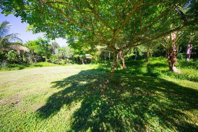 Kirpal Meditation And Ecological Center Pahoa المظهر الخارجي الصورة